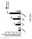 Fig. 43 - METHODS AND COMPOSITIONS COMPRISING AKT INHIBITORS AND/OR PHOSPHOLIPASE D INHIBITORS