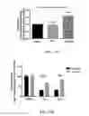 Fig. 45 - METHODS AND COMPOSITIONS COMPRISING AKT INHIBITORS AND/OR PHOSPHOLIPASE D INHIBITORS