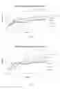 Fig. 02 - Phage therapy