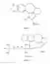 Fig. 02 - Formulations and Methods of Administration of Cephalotaxines, Including Homoharringtonine