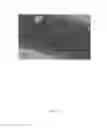 Fig. 44 - COMPOSITIONS AND METHODS FOR TREATING ACUTE RADIATION SYNDROME