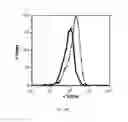 Fig. 52 - COMPOSITIONS AND METHODS FOR TREATING ACUTE RADIATION SYNDROME