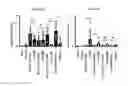 Fig. 01 - TH1-inducing adjuvant comprising combination of different nucleic acid adjuvants, and use of same