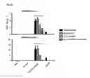 Fig. 04 - TH1-inducing adjuvant comprising combination of different nucleic acid adjuvants, and use of same