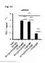 Fig. 06 - TH1-inducing adjuvant comprising combination of different nucleic acid adjuvants, and use of same