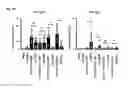 Fig. 07 - TH1-inducing adjuvant comprising combination of different nucleic acid adjuvants, and use of same