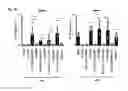 Fig. 08 - TH1-inducing adjuvant comprising combination of different nucleic acid adjuvants, and use of same