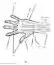 Fig. 02 - Exo-tendon motion capture glove device with haptic grip response