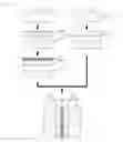 Fig. 04 - Bipolar ion exchange sheet and manufacturing method therefor