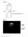 Fig. 20 - Blank, formed article, die assembly, and method for producing blank