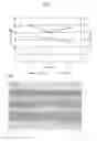 Fig. 06 - Method for manufacturing sintered component, sintered component, and drill