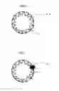 Fig. 04 - Electrode wire for electrical discharge machining and method of manufacturing electrode wire for electrical discharge machining