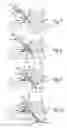 Fig. 04 - Fastener, installation tool and related method of use