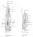 Fig. 65 - Fastener, installation tool and related method of use