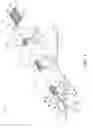 Fig. 02 - METHOD AND APPARATUS FOR MANUFACTURING AN EMBOSSED SANDING SPONGE