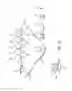 Fig. 19 - Electrostatic 3-D printing system having acoustic transfer and corotron