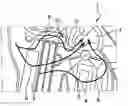Fig. 01 - Air-conditioning device for a motor vehicle