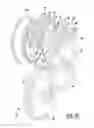 Fig. 08 - Motor gearbox assembly