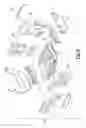 Fig. 07 - Suspension module having a subframe assembly