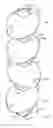 Fig. 01 - Stackable container having overhanging cap
