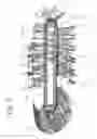Fig. 03 - Device for distributing products in roll
