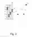 Fig. 04 - METHOD FOR PROCESSING CALL INPUTS BY AN ELEVATOR CONTOLLER AND ELEVATOR SYSTEMS FOR IMPLEMENTING THE METHOD