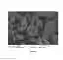 Fig. 02 - SiOC composite electrode material