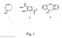 Fig. 02 - Alkynes and methods of reacting alkynes with 1,3-dipole-functional compounds