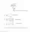 Fig. 03 - HYDROPHILIC HIGH QUANTUM YIELD ACRIDINIUM ESTERS WITH IMPROVED STABILITY AND FAST LIGHT EMISSION