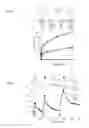 Fig. 04 - Triazabutadienes as cleavable cross-linkers