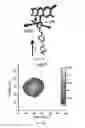 Fig. 07 - Photoinduced electron transfer voltage-sensitive compounds