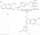Fig. 46 - Compounds that are ERK inhibitors