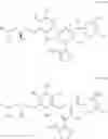Fig. 56 - CARM1 inhibitors and uses thereof
