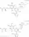 Fig. 62 - CARM1 inhibitors and uses thereof