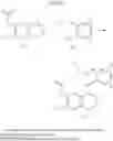 Fig. 06 - Macrocyclic quinazole derivatives and their use as MTKI