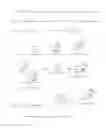 Fig. 01 - Phosphoramidite synthones for the synthesis of self-neutralizing oligonucleotide compounds