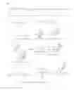 Fig. 04 - Phosphoramidite synthones for the synthesis of self-neutralizing oligonucleotide compounds
