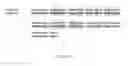 Fig. 06 - Methods of increasing sarcolemmal utrophin