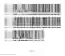 Fig. 07 - Methods of increasing sarcolemmal utrophin