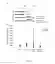 Fig. 14 - Methods of increasing sarcolemmal utrophin