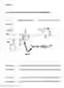Fig. 03 - CD44v6-derived cyclic peptides for treating cancers and angiogenesis related diseases