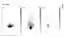 Fig. 12 - CD44v6-derived cyclic peptides for treating cancers and angiogenesis related diseases