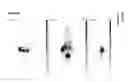 Fig. 14 - CD44v6-derived cyclic peptides for treating cancers and angiogenesis related diseases
