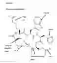 Fig. 17 - CD44v6-derived cyclic peptides for treating cancers and angiogenesis related diseases