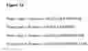 Fig. 20 - CD44v6-derived cyclic peptides for treating cancers and angiogenesis related diseases