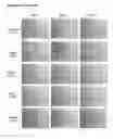 Fig. 23 - CD44v6-derived cyclic peptides for treating cancers and angiogenesis related diseases