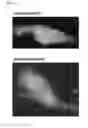 Fig. 06 - Stabilized and autonomous antibody VH domain