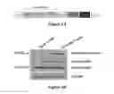 Fig. 02 - CS1-specific chimeric antigen receptor engineered immune effector cells
