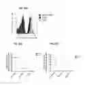 Fig. 44 - Methods for manipulating phagocytosis mediated by CD47
