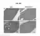 Fig. 47 - Methods for manipulating phagocytosis mediated by CD47